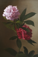 Peonies 'A Vento--SOLD