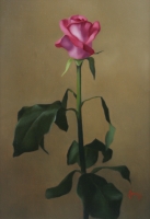 Rose II, 13 X 19, oil on panel--SOLD