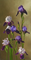 Irises --SOLD